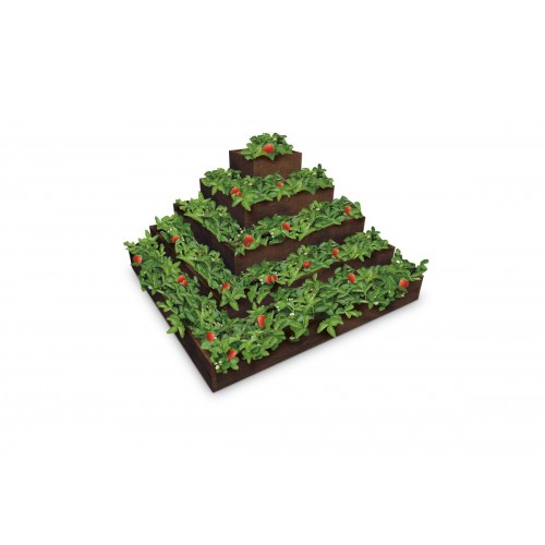 Pyramida na jahody 2X2X1M-pětipatrová